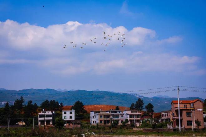 多彩仁义仁义多风采(图4)