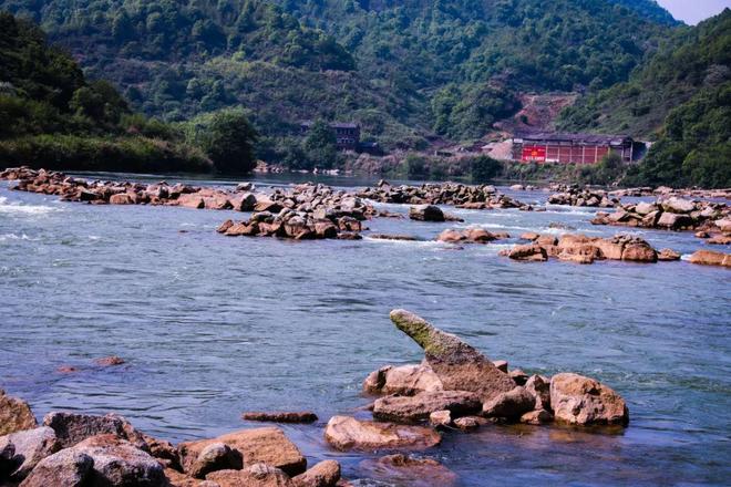 多彩仁义仁义多风采(图8)