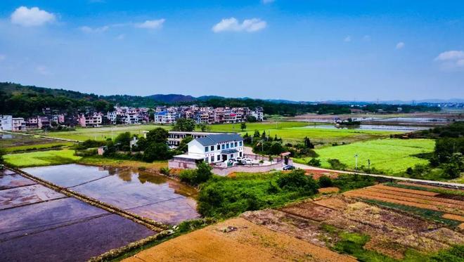 多彩仁义仁义多风采(图3)