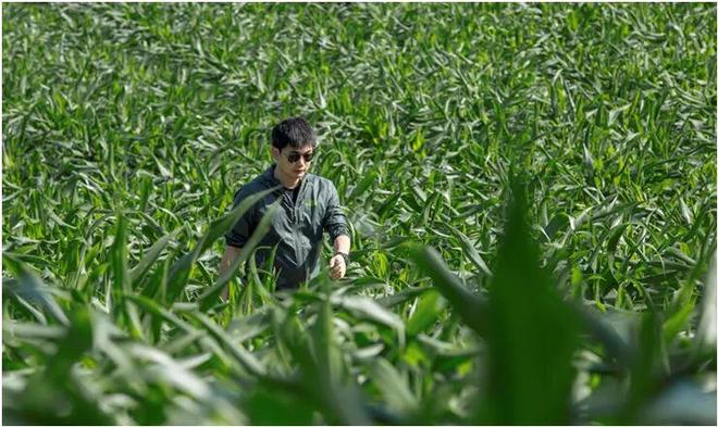 他帮农民“干农活”死磕18年做到全球第二(图3)